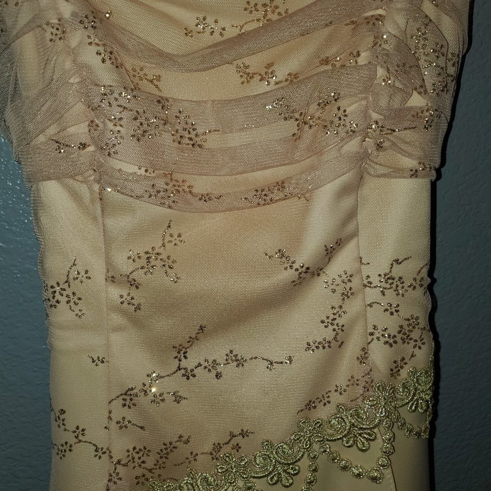 Floor length pretty gown, lace up back